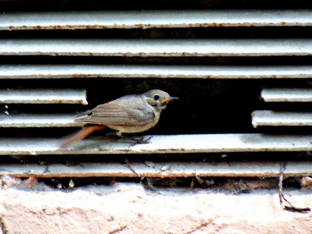 Photograph by Ольга Шевцова