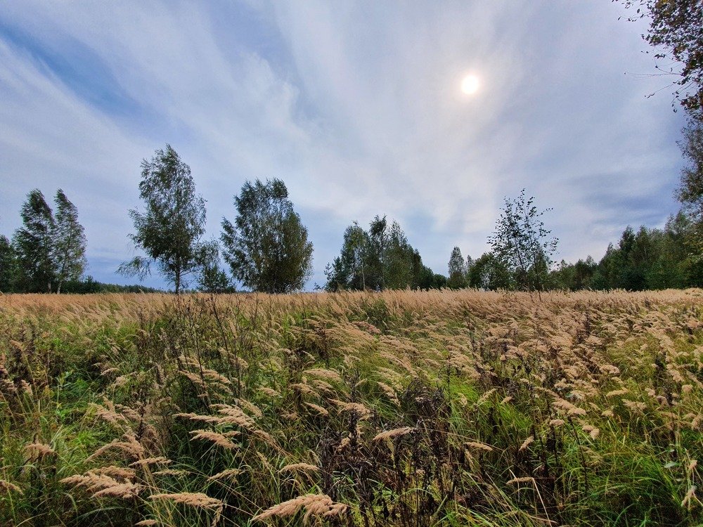 Photograph by Анастасия Езепчук