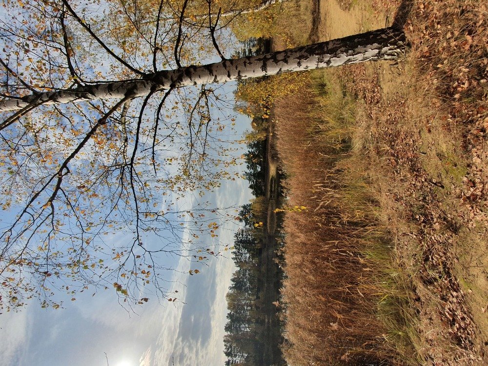 Photograph by Анастасия Езепчук