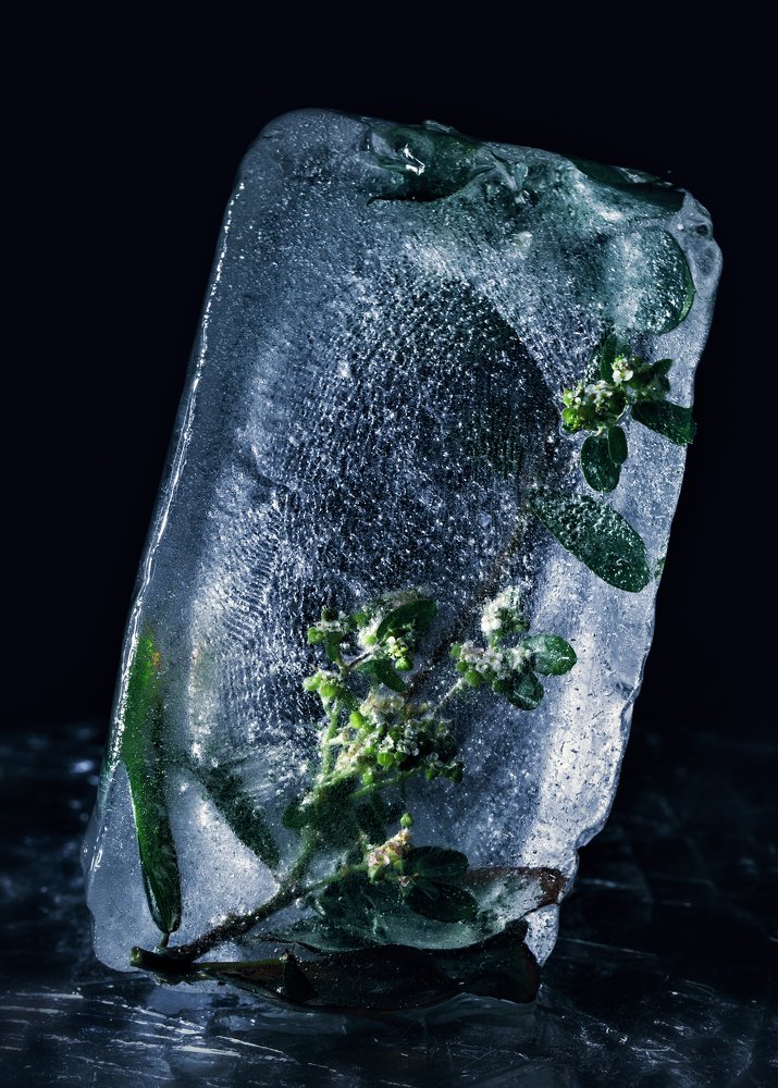 Photograph by Yuliia Nazarova