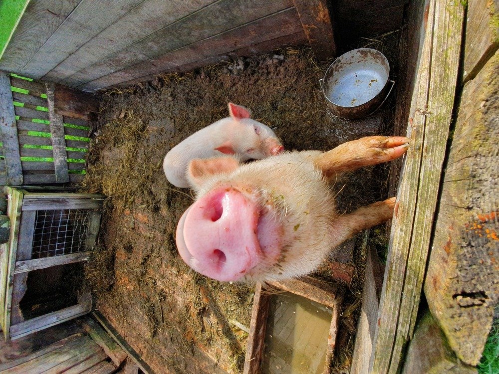 Photograph by Анастасия Езепчук