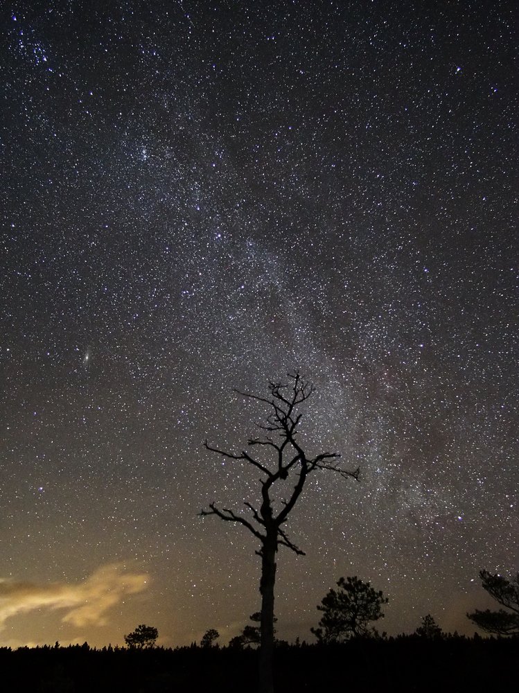 Milky Way in Latvia