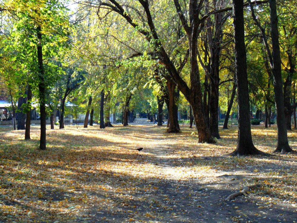 Photograph by Ольга Шевцова