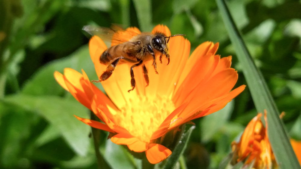 Photograph by Mohammad Amin Karimi