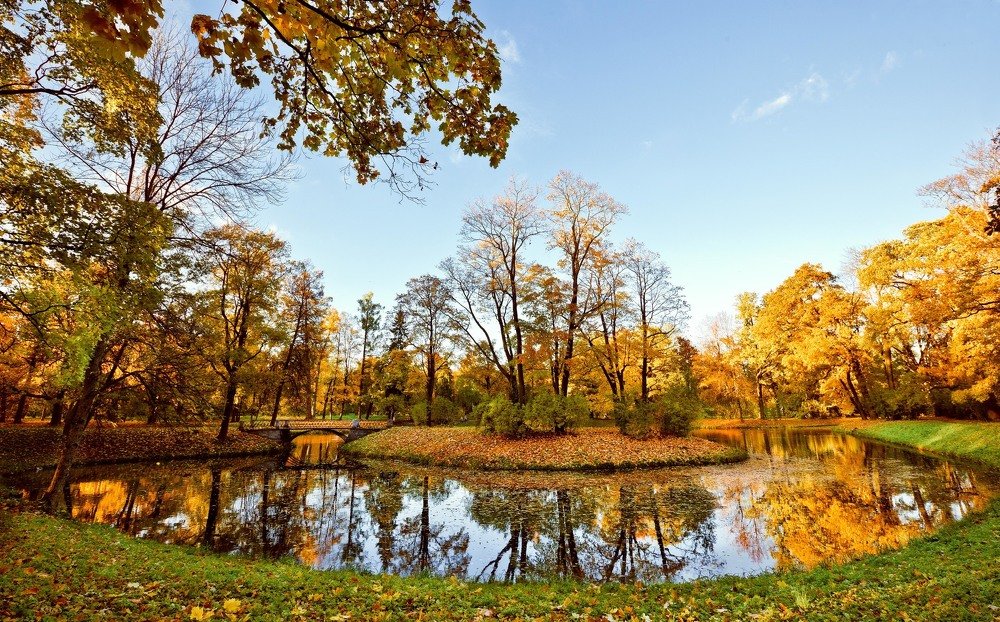 Фотография автора Ольга Виноградова