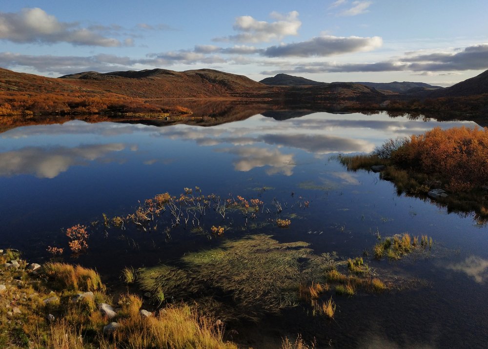 Photograph by Анна Тихомирова