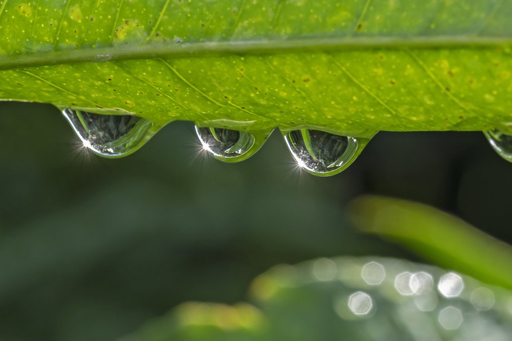 Photograph by selçuk kayan