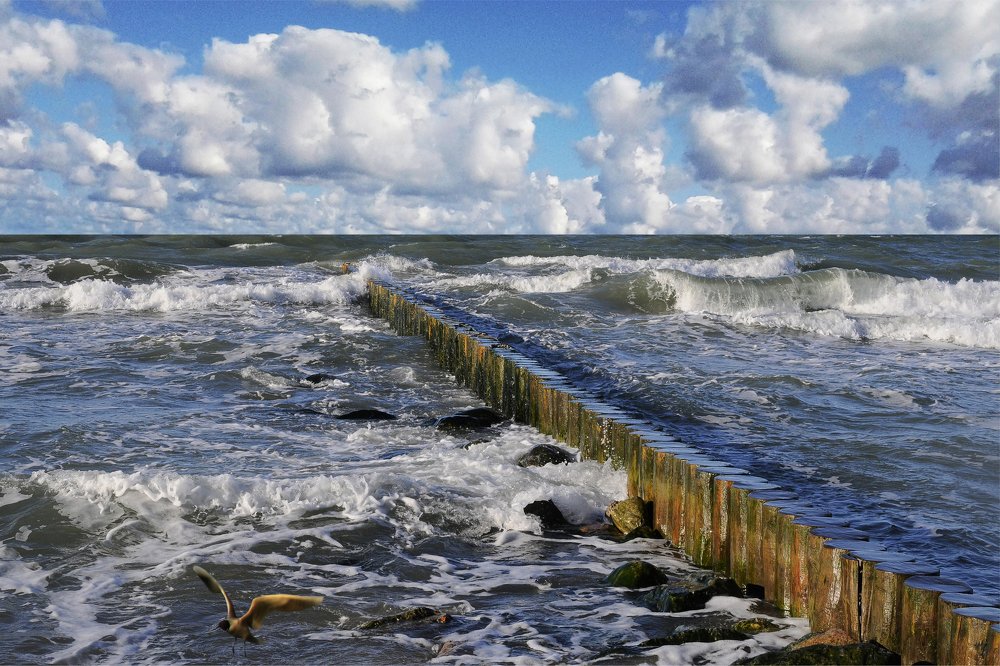 Photograph by Александр Руденко
