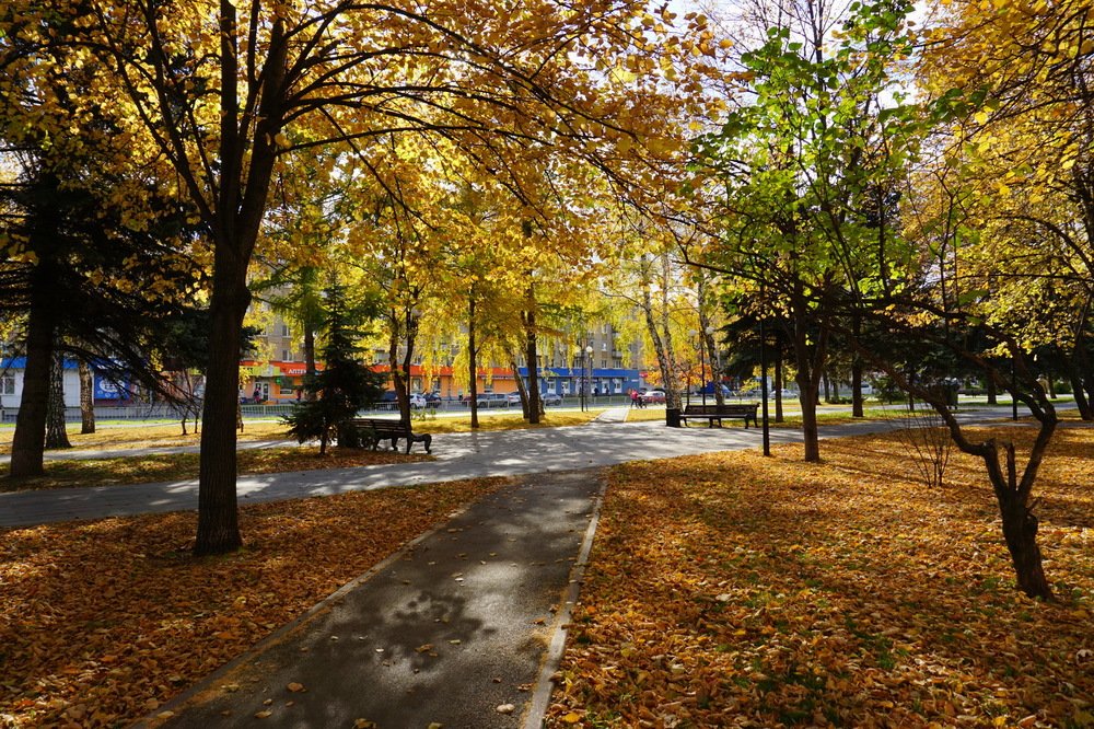 осень в городе