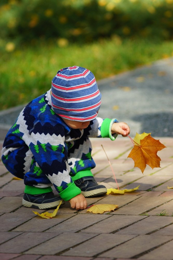 раз листочек,два листочек