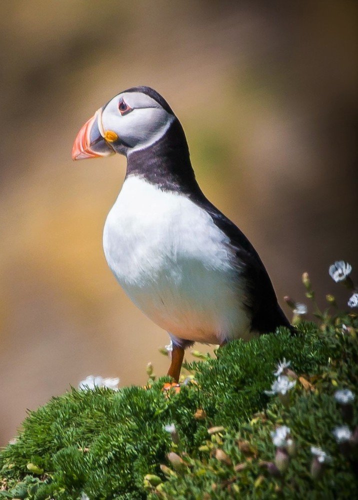 Photograph by Anatoly Chomko