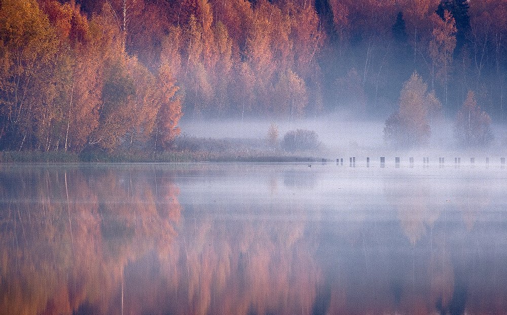 Photograph by Юлия Холодкова