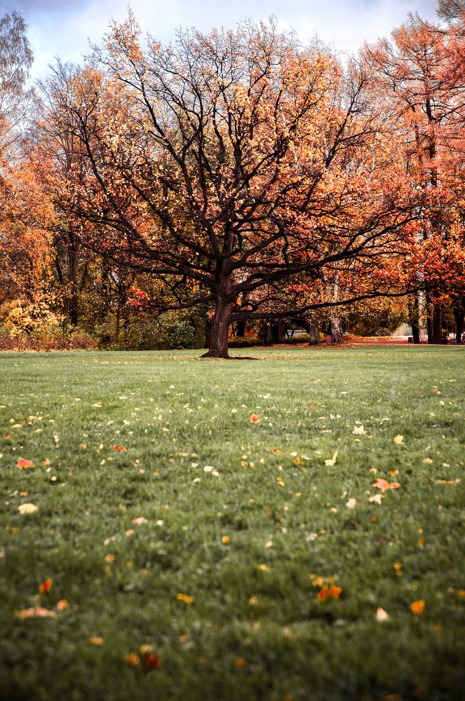 Photograph by Юлия Яровая