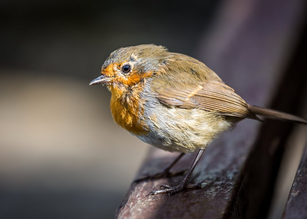 Photograph by Anatoly Chomko