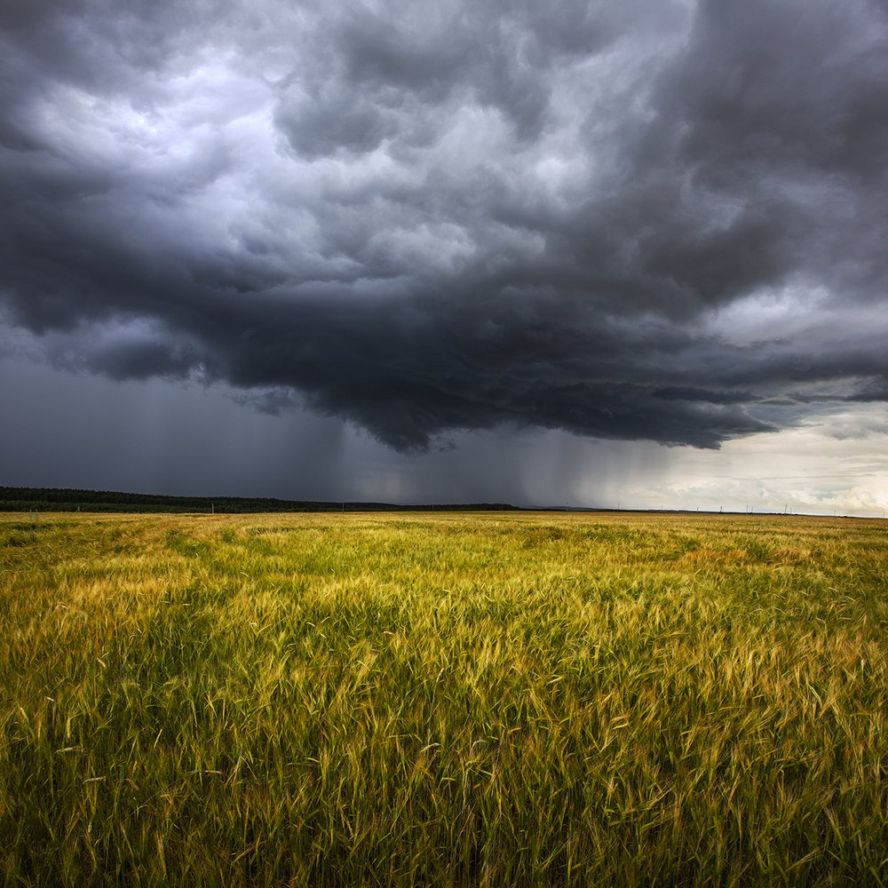 Photograph by Юлия Холодкова