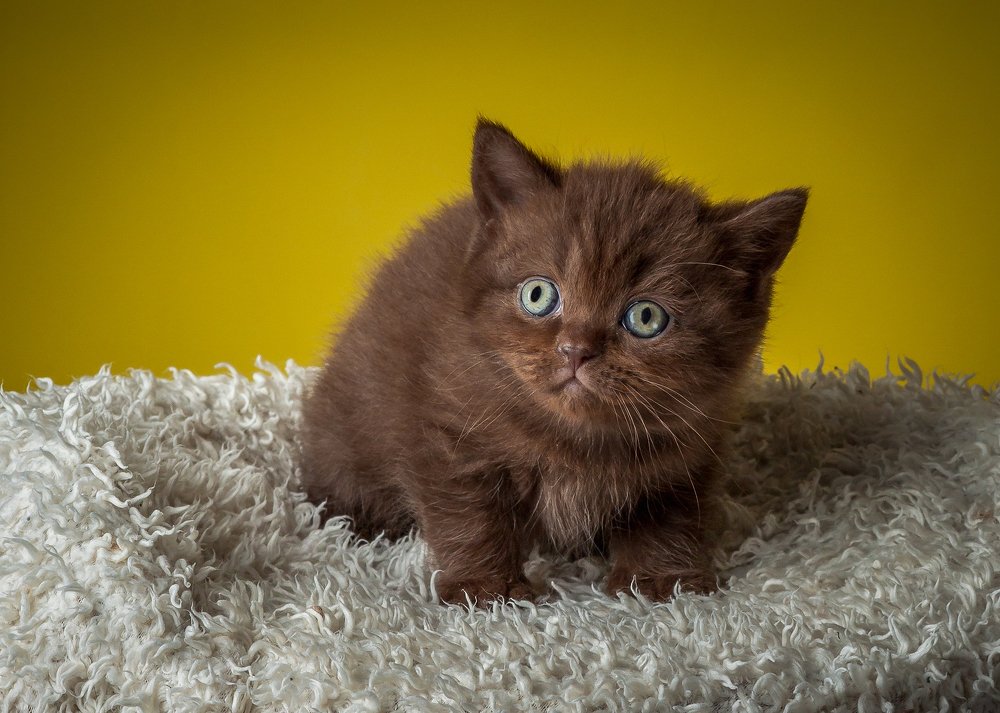 Photograph by Anatoly Chomko