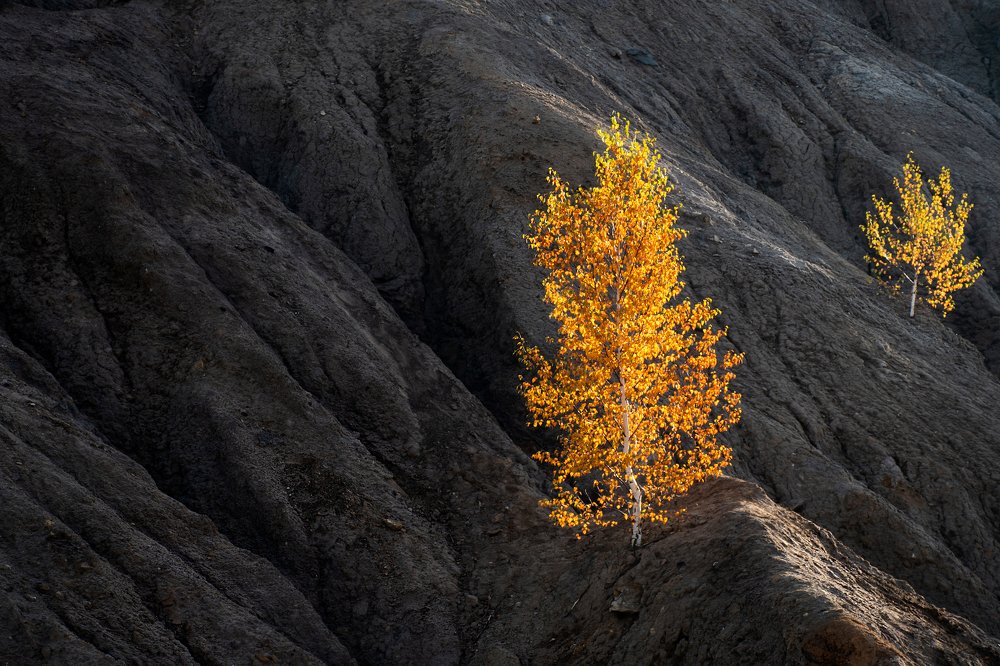 Photograph by Римма Нефёдова