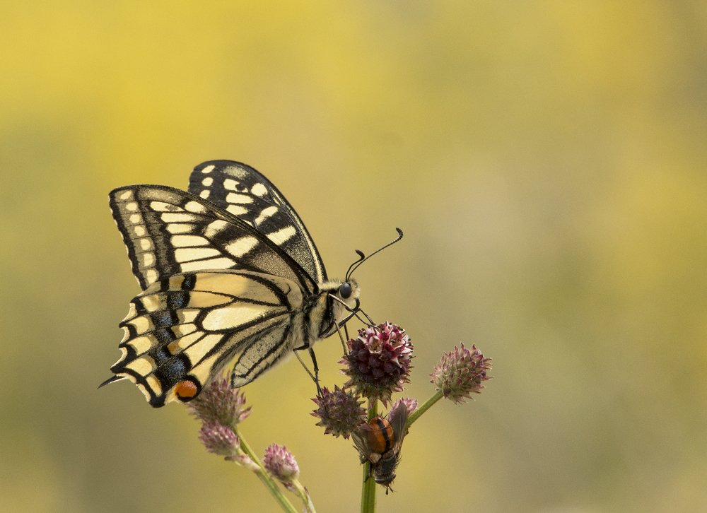 Фотография автора Андрей Таничев
