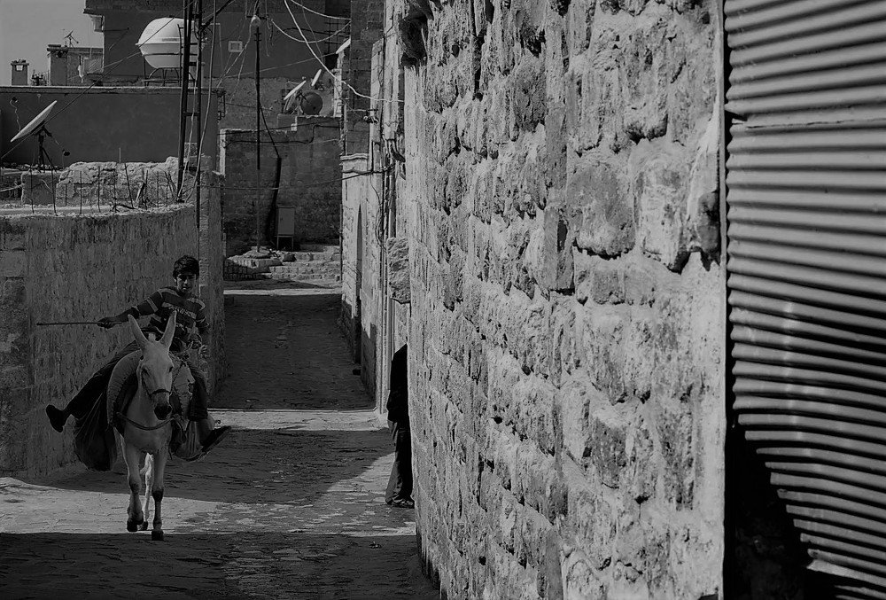 Photograph by salahattin koloman