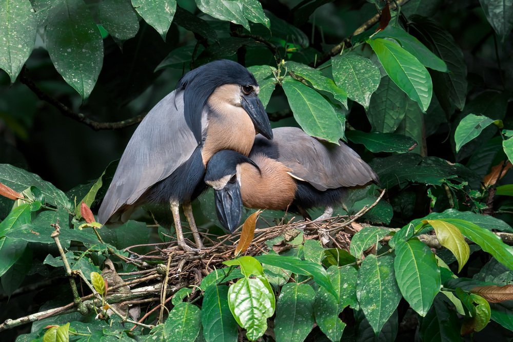 Photograph by Сергей Быстрицкий