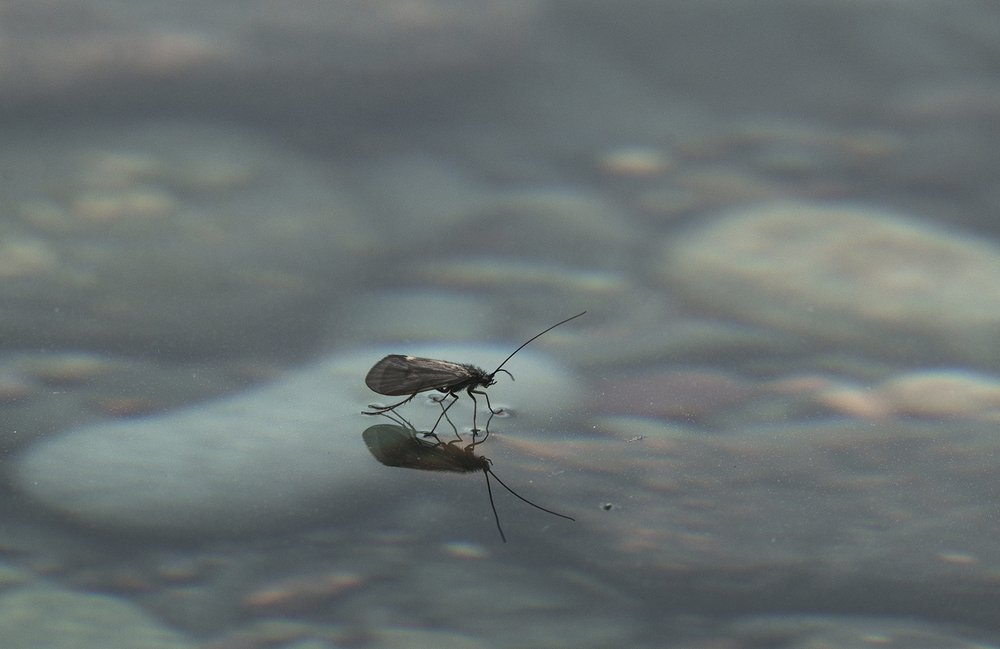 Photograph by Андрей Таничев