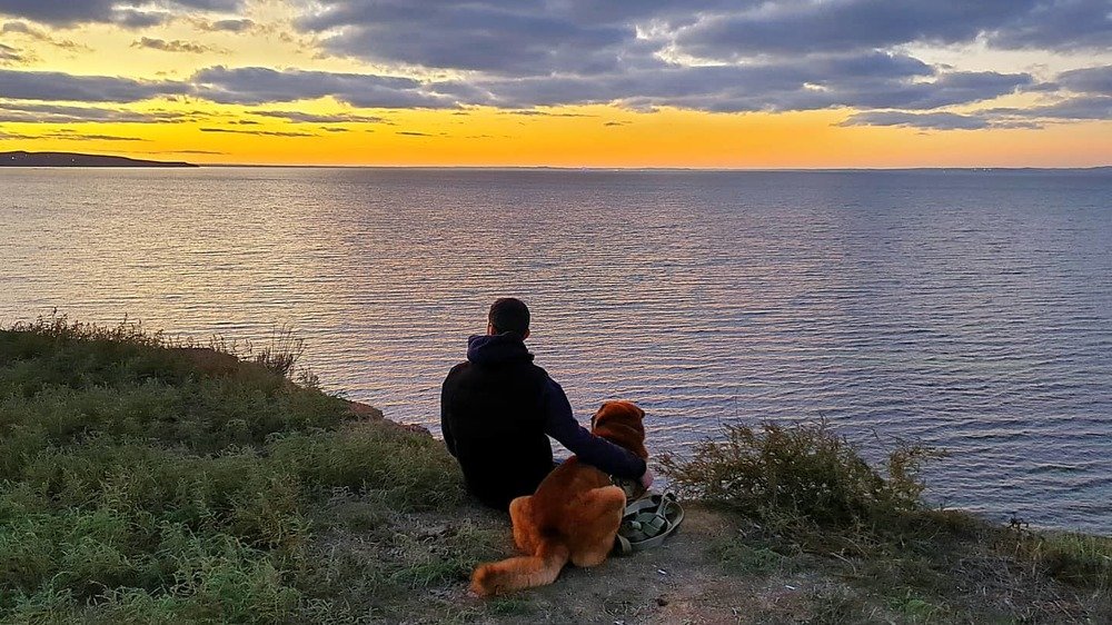 Photograph by Екатерина Маградзе