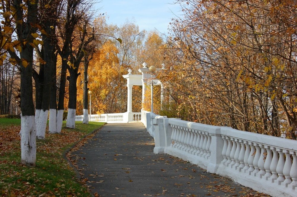 Photograph by Наталия Васильева