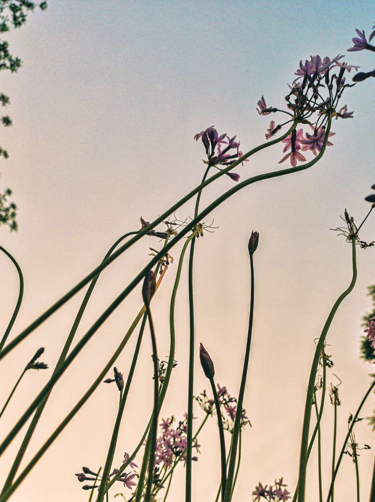 Photograph by Ольга Эркызан