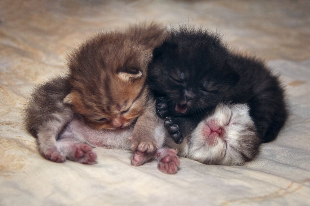 Photograph by Ольга Томилова