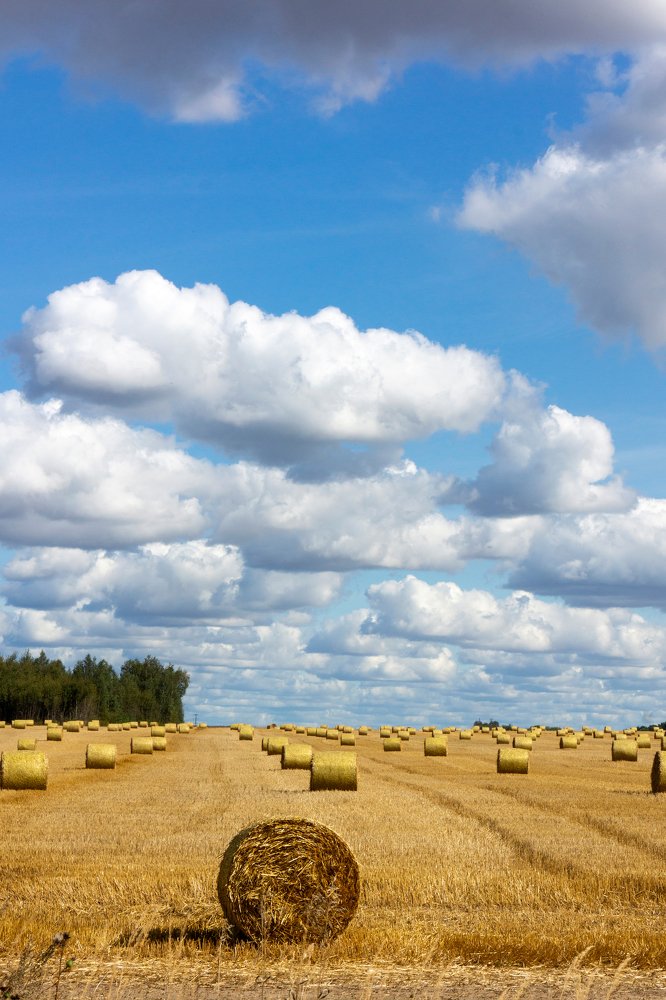 Облачность