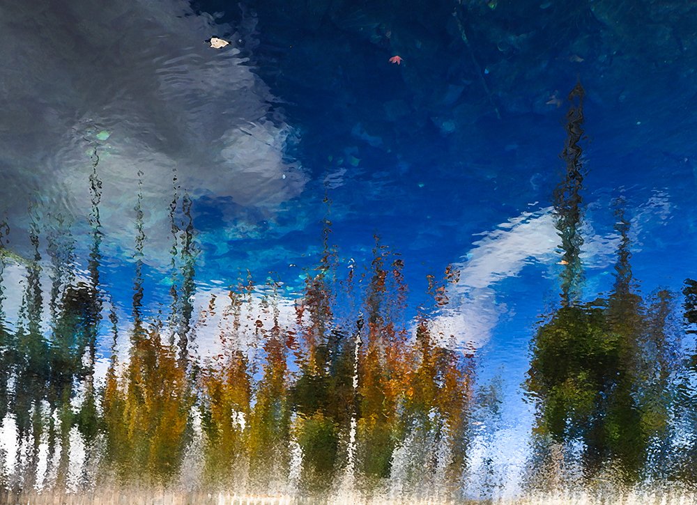 Фотография автора Erfan Rabiei dastjerdi