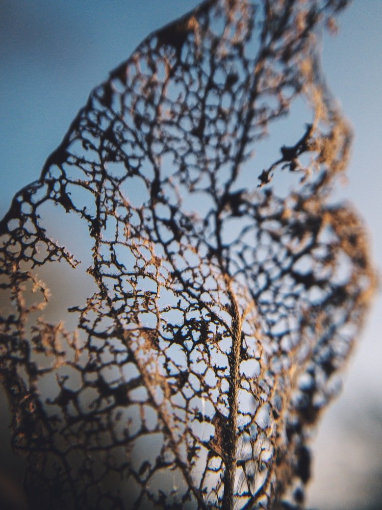 Photograph by Tatyana Belova