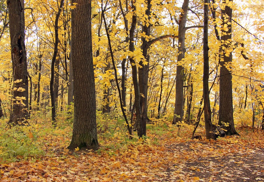 Photograph by Наталия Васильева