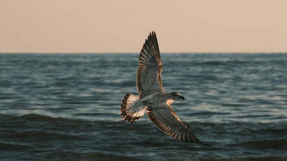 Photograph by Станислав Аникин