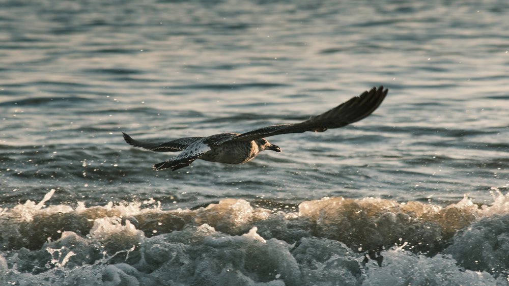 Photograph by Станислав Аникин