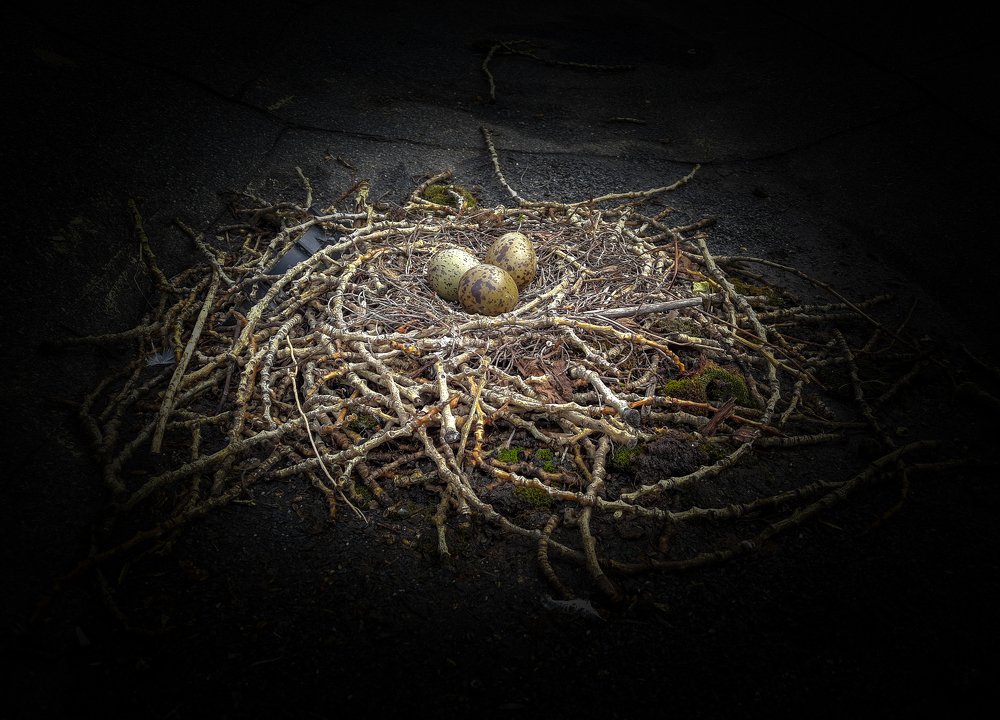 Фотография автора Илья Большаков