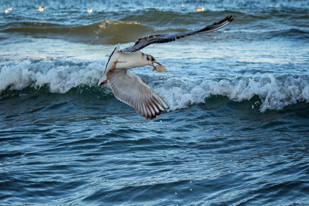Photograph by Виктория Бурова