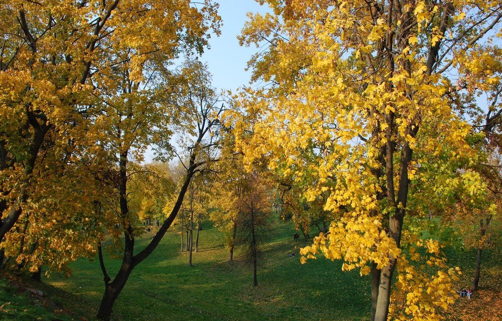 Photograph by Сергей Лобозов