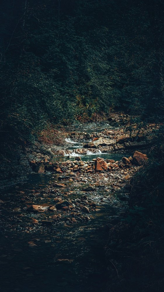 Photograph by Bogdan Ivanyshyn