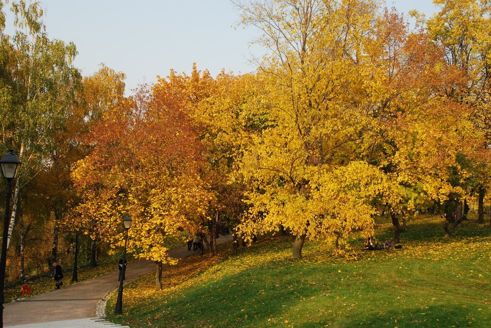 Photograph by Сергей Лобозов