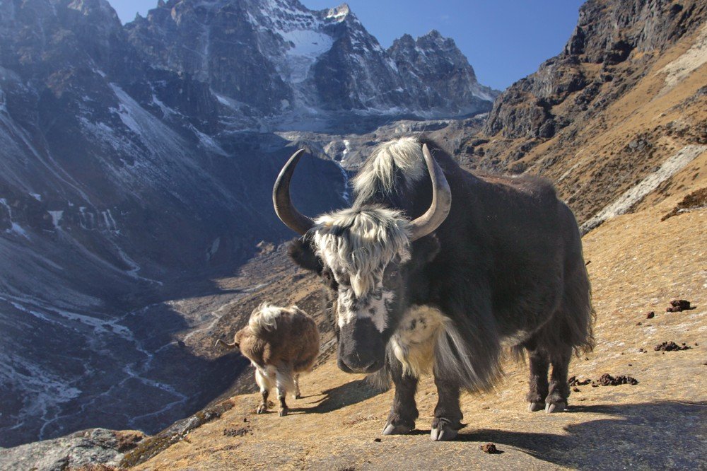 Photograph by Лада Денисова