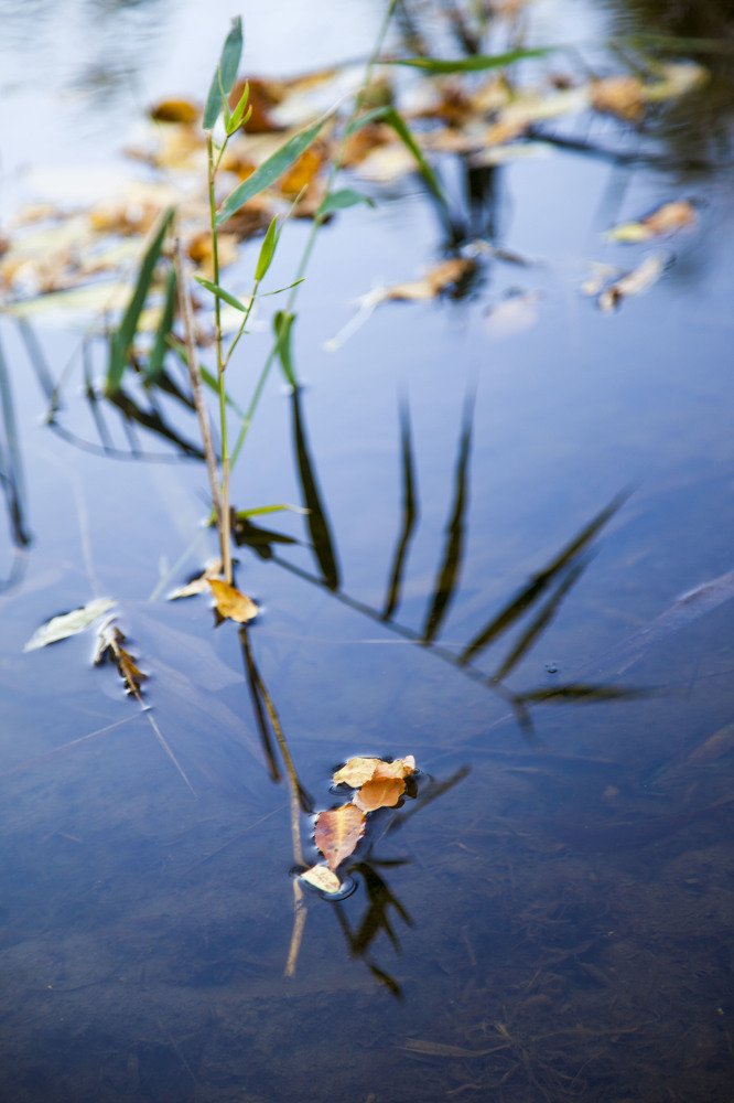 Photograph by Усатый Александр