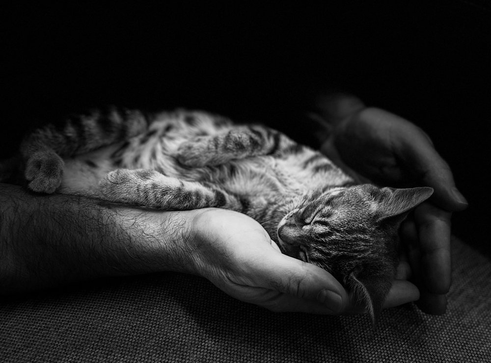 Photograph by Karen Khachaturyants