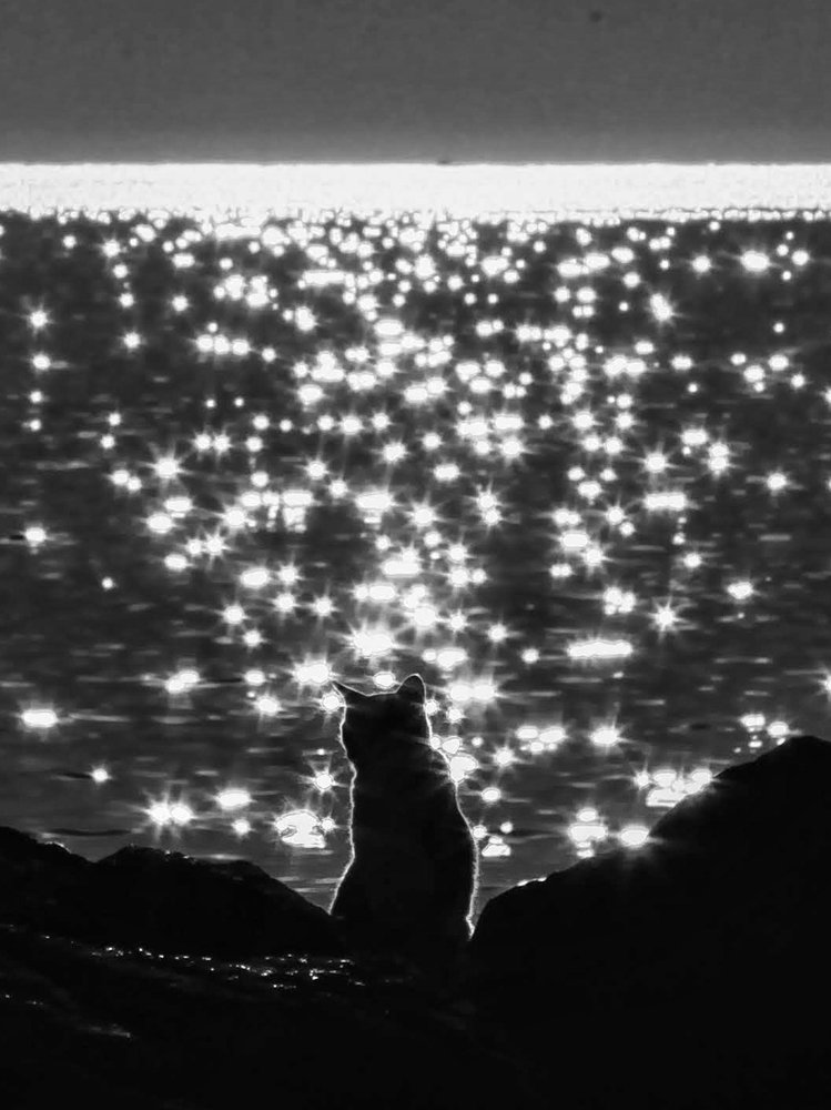 Photograph by Salvatore Palumbo