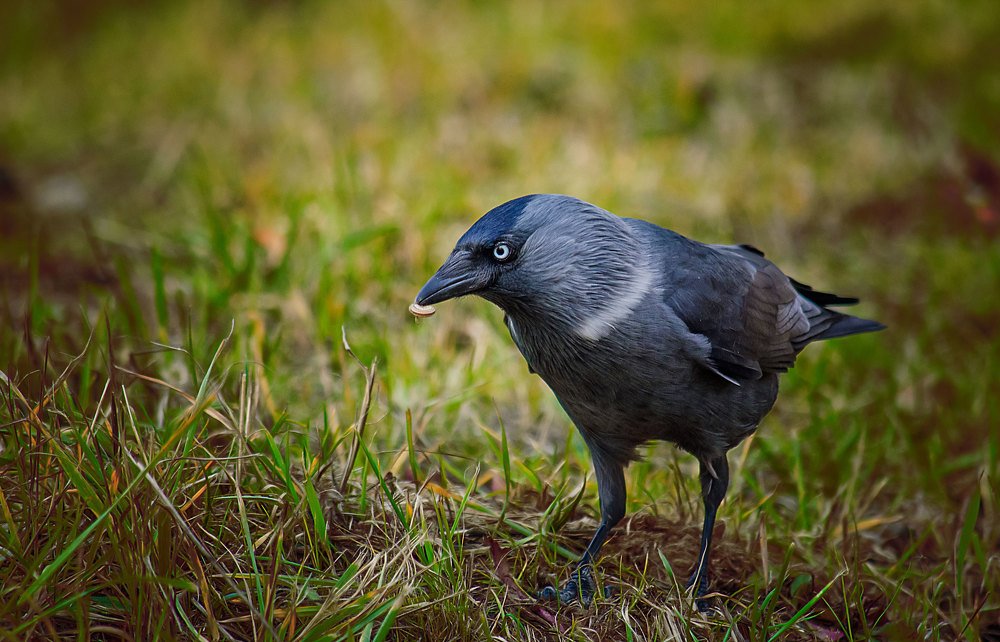 Photograph by Наталья Золотарева
