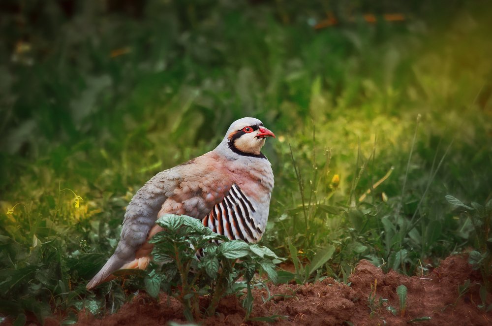 Photograph by Наталья Золотарева