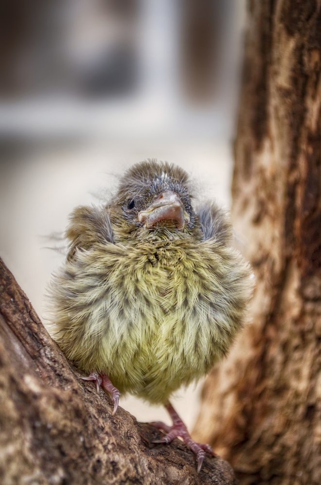 Photograph by Наталья Золотарева