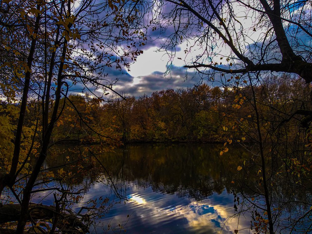 Photograph by Александра Голикова