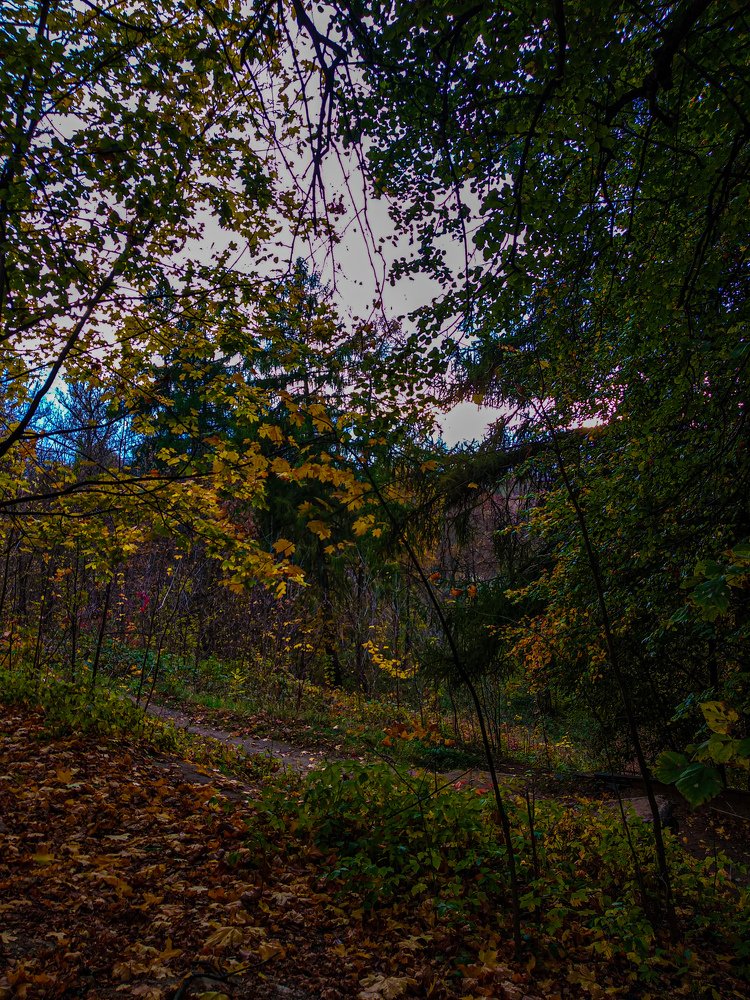 Photograph by Александра Голикова