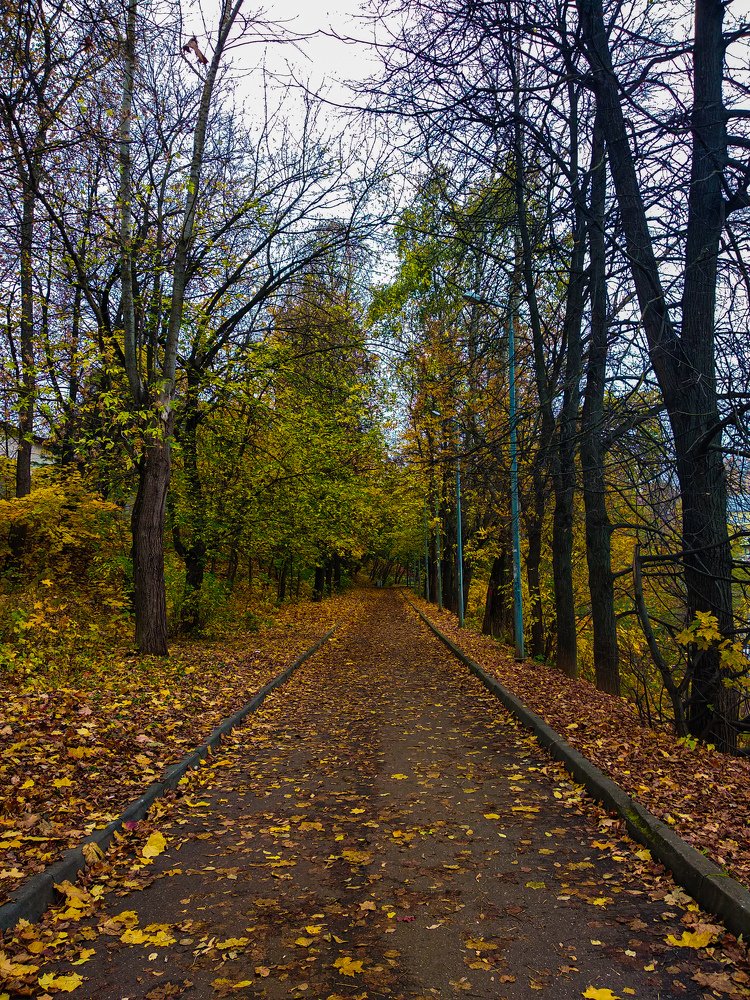 Photograph by Александра Голикова